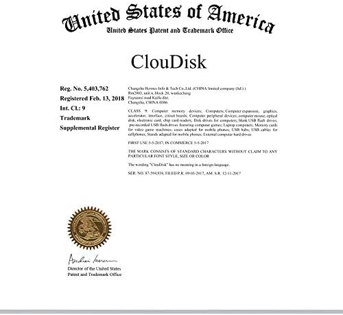 Cloudisk Pack 10 128MB 128GB) C4 (128MB=0.128GB) of Micro SD Card Small Capacity (Not Memory Card with Adapter, Card