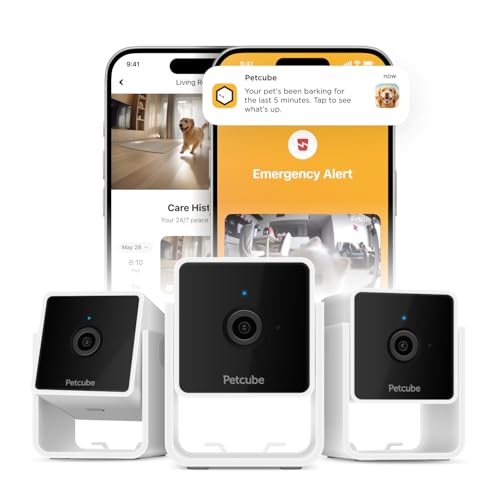 Petcube Cam The Pack of 3 | Indoor Wi-Fi Pet Security Camera with Phone App, 2-Way Audio and Video, Night Vision, 1080p HD Video and Smart Alerts