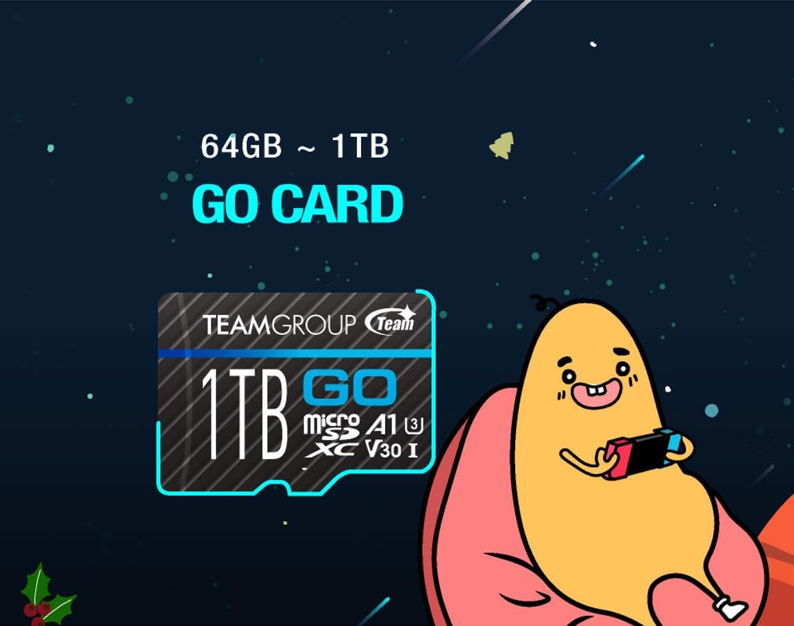 TEAMGROUP GO Card 1TB Micro SDXC UHS-I U3 V30 4K, R/W up to 100/90 MB/s for GoPro &Action Cameras High Speed Flash Memory Card w/Adapter for Outdoor, Sports, 4K Shooting, GoPro &Insta360 TGUSDX1TU303