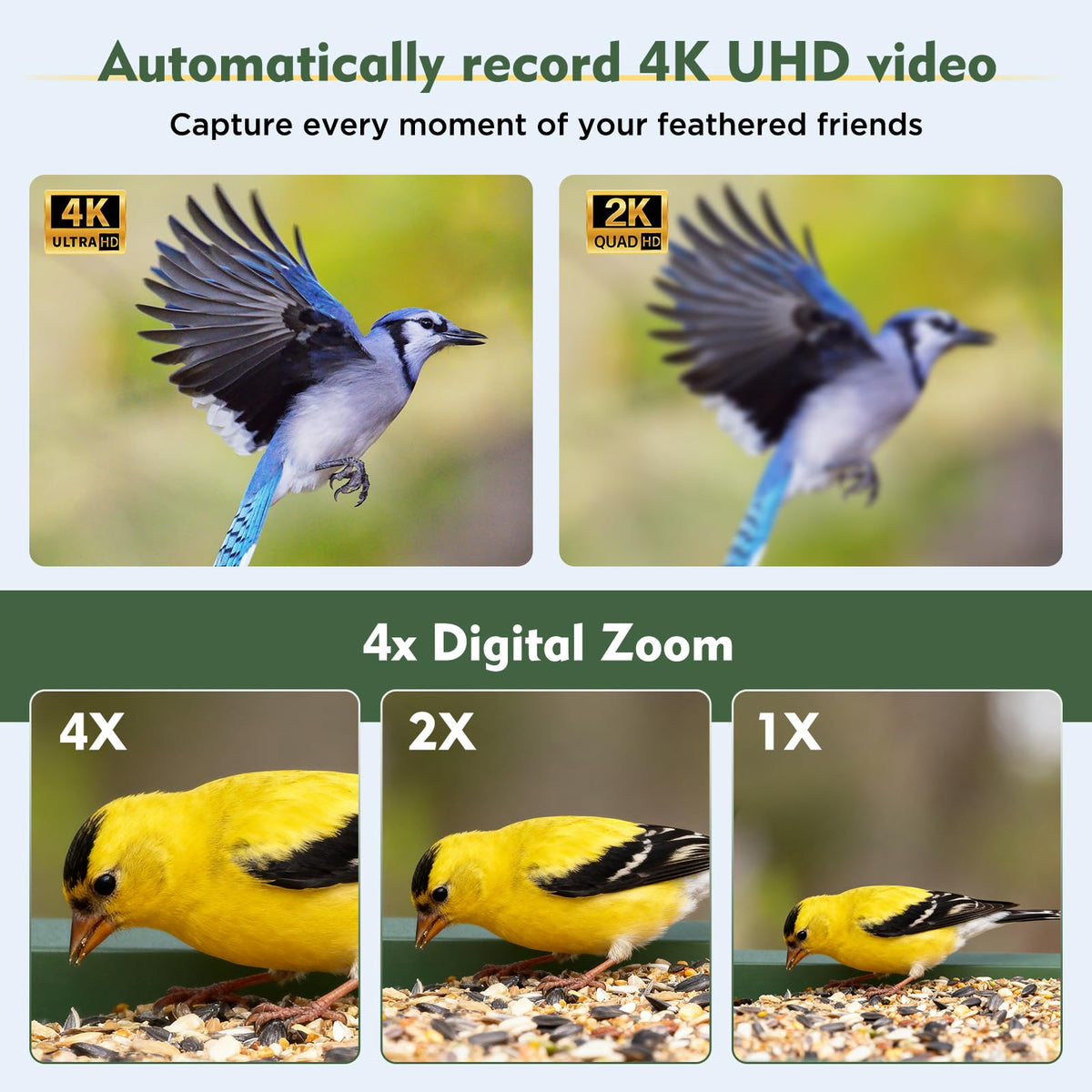 Hibird 4K HD Smart Bird Feeder with Camera Solar Powered, 2.4GHz/5GHz Dual WiFi Auto Capture Bird Video, Real-time Notifications & Live Streaming, AI