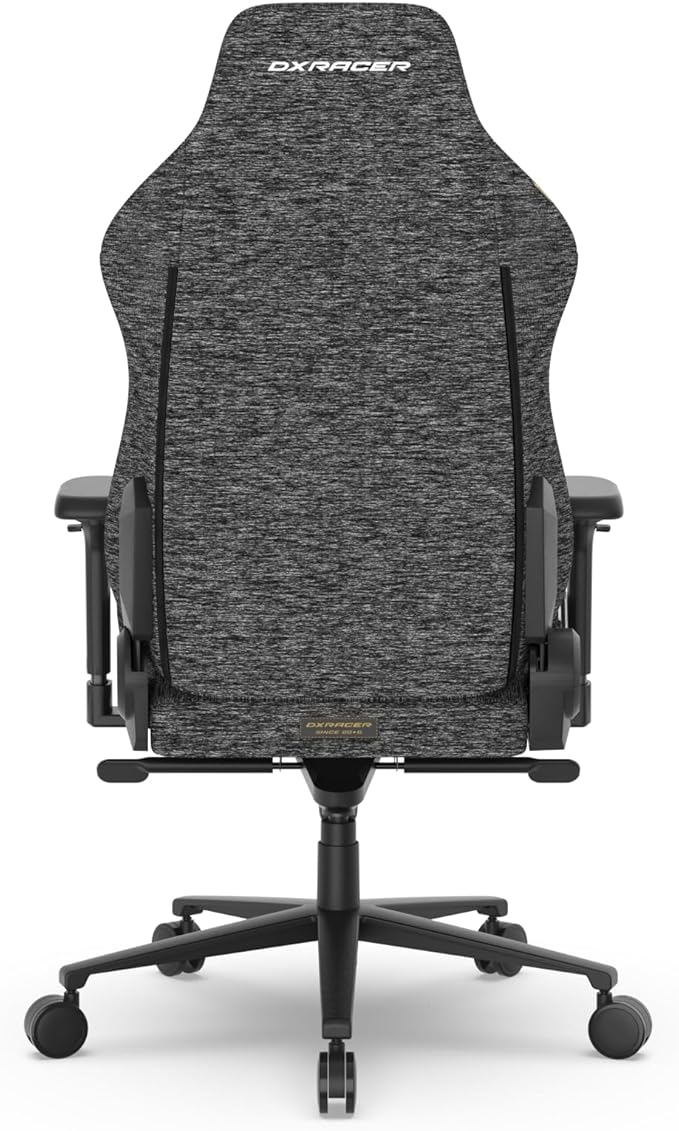 DXRacer Craft L Video Gaming Chair for Adults Ergonomic Office Reclining Computer Chair with Magnetic Head Pillow and Lumbar Support Racing Style Height Adjustable (Woven Fabric Gray)