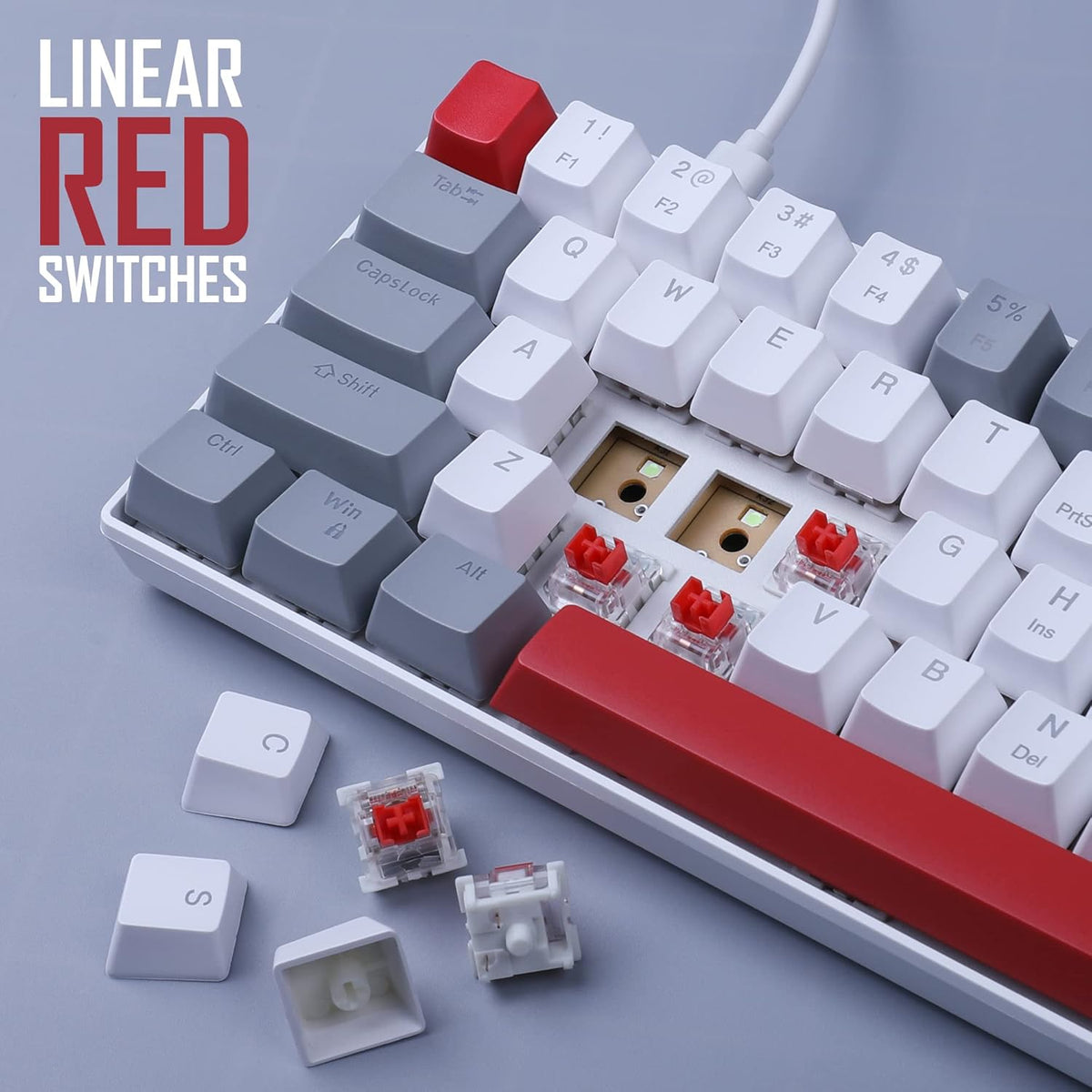 60% Mechanical Gaming Keyboard,Mixed Color Keycaps Gaming Keyboard with Red Switches, Detachable Type-C Cable Mini Keyboard with Blue LED Light for PC/Laptop