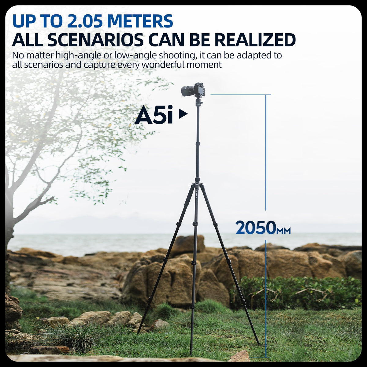 Fotopro Camera Tripod, Foldable Aluminum Tripod/Monopod, 360°Ball Head Detachable with Quick Release Plate, Lightweight Tripod for Camera, Phone, A4I