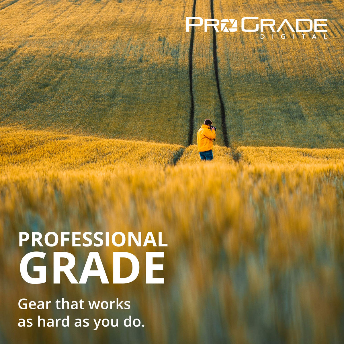 CFexpress Type B and SD UHS-II Dual-Slot Memory Card Reader by ProGrade Digital | USB 3.2 Gen 2 for Professional Filmmakers, Photographers & Content
